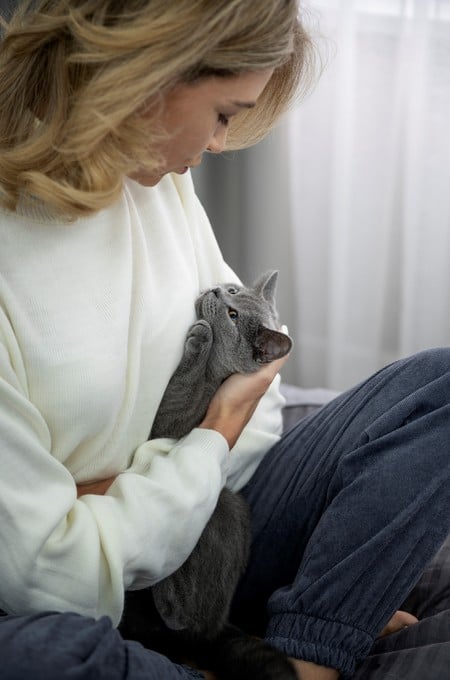 Que un gato elija descansar junto a alguien puede transmitir seguridad y comodidad.
