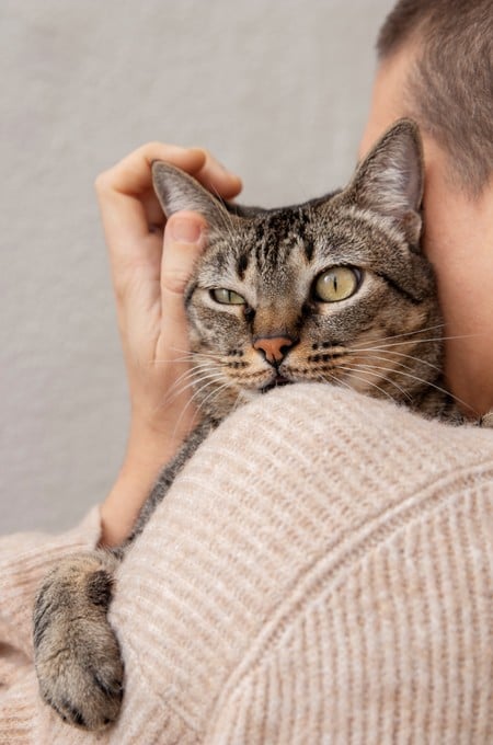 Los gatos suelen acercarse a quienes respetan su espacio y sus tiempos.