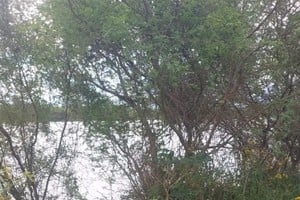El hecho ocurrió en la laguna El Víbora, en el campo Mian, ubicado aproximadamente a 15 kilómetros al este del ejido urbano de Villa Ocampo