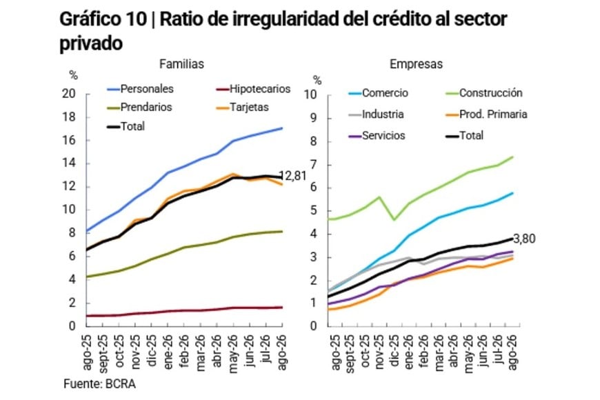 Ratio de irregularidad del crédito al sector privado.