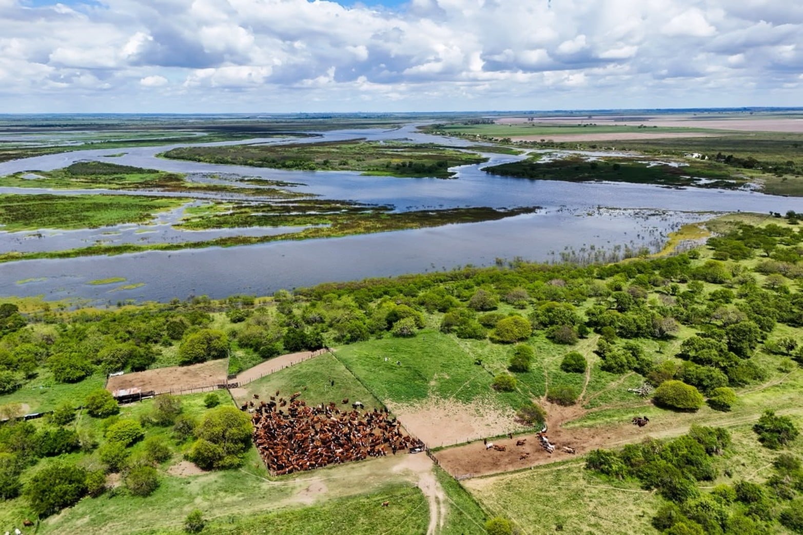Una vista panorámica de cómo se encuentra la zona.