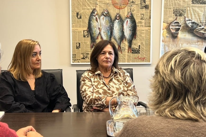 Verónica Maggio, Claudia Benavídez y Mariana Farías Almeida fueron convocadas por la UCSF. Crédito: El Litoral