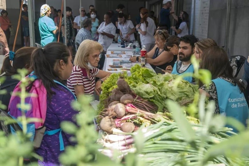 alimentacion saludable