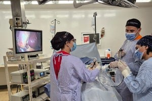 La iniciativa proyecta realizar más de 300 intervenciones en diez días