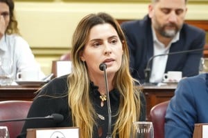 La propuesta consensuada busca evitar que las familias deban peregrinar por datos y endurece las sanciones para quienes no paguen la cuota alimentaria.