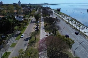 La renovación del cantero central de avenida 7 Jefes está en su etapa final y transforma la Costanera santafesina.