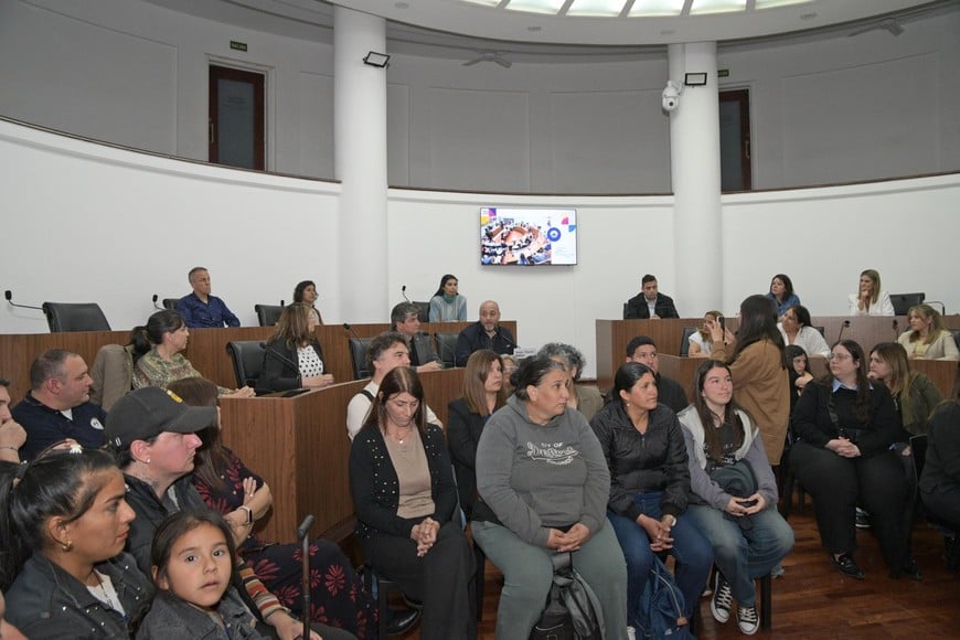 El acto tuvo lugar este lunes en el recinto del Concejo. Foto: Manuel Fabatía