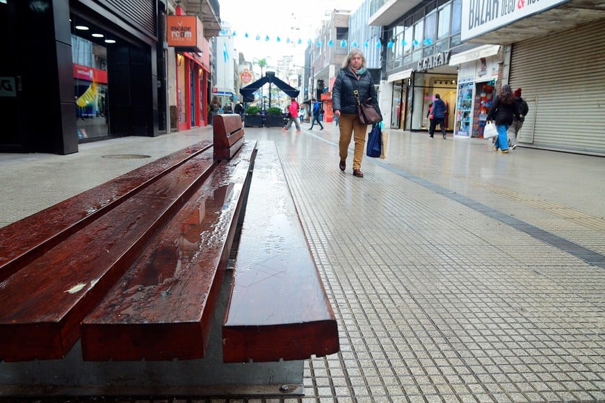 La peatonal en la actualidad. Foto: Guillermo Di Salvatore