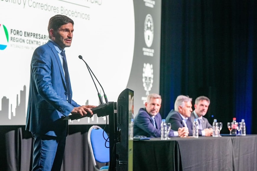 Pullaro planteó el debate sobre el destino de las divisas que generarán la energía y la minería.