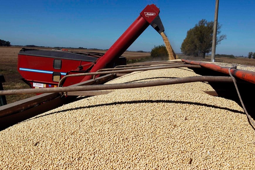 Soybeans are loaded onto a truck at a field in the city of Chacabuco, in this April 24, 2013 file photo. Grains powerhouse Argentina could increase soy, corn and wheat output by as much as a fifth if the president elected next year scraps export quotas, eases taxes and reverses other policies that have slowed investment, farmers and commodity traders say. To match Analysis ARGENTINA-GRAINS/ REUTERS/Enrique Marcarian/File (ARGENTINA - Tags: AGRICULTURE BUSINESS POLITICS SOCIETY) buenos aires plantacion de soja cosecha en un campo de Chacabuco cosechadora campo sembrado
