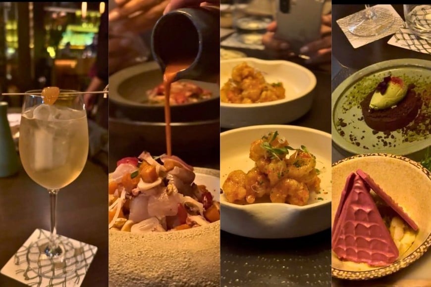 En Osaka, la cocina nikkei combina influencias japonesas y peruanas en platos como sushi y ceviches, además de preparaciones calientes y cócteles de autor.