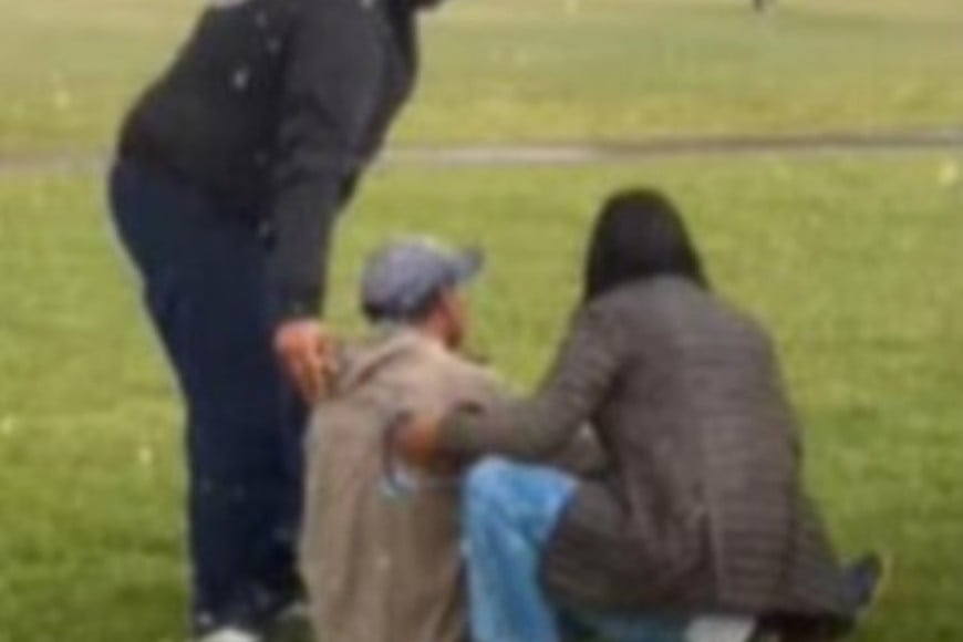 Al momento del hecho los animales se encontraban con un cuidador.