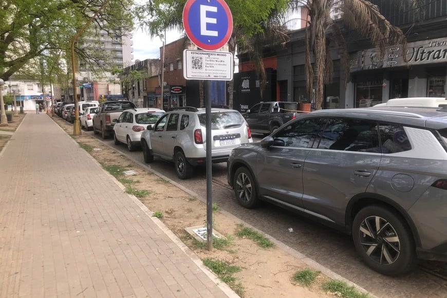 Identificación. Los carteles señalan que hay que loguearse para estacionar. El Litoral.