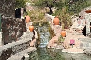 Las autoridades analizan el agua para detectar la posible presencia del microorganismo.