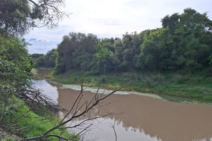 Al ascender el nivel de las aguas se llenan lagunas y arroyos a donde los peces navegan a desovar. Pablo Rodas (archivo).