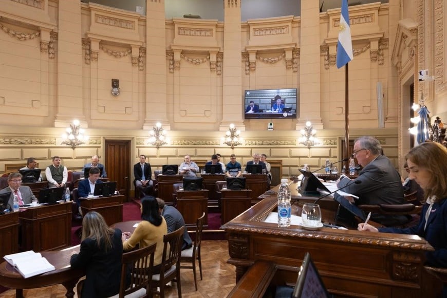 El recinto del Senado este jueves. Crédito: Senado de Santa Fe