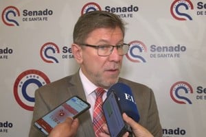 El senador Borla este jueves en el Senado. Crédito: El Litoral