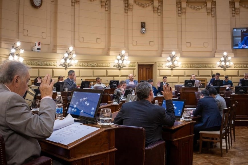 El recinto del Senado este jueves. Crédito: Senado de Santa Fe