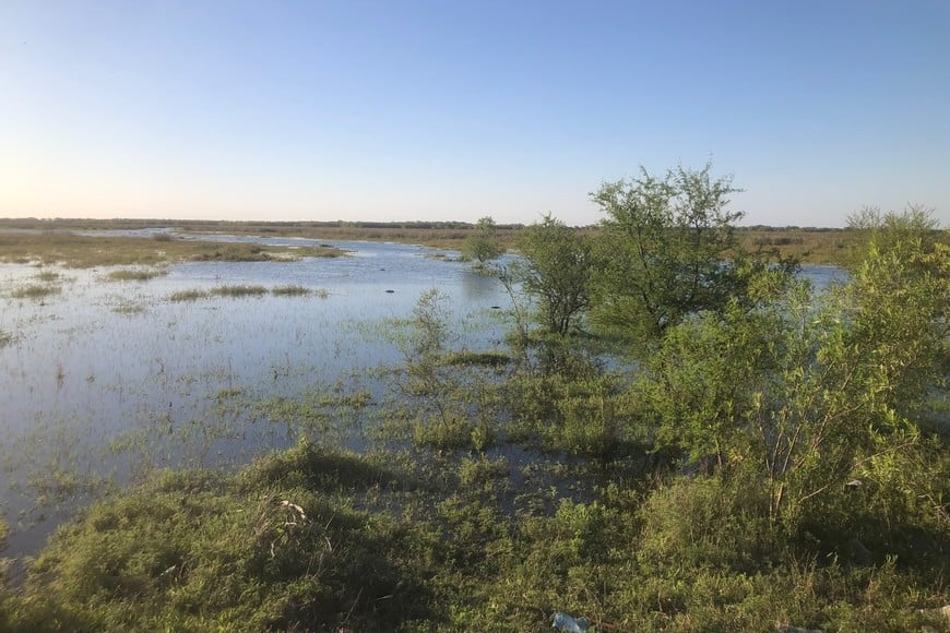 Lo que antes era verde se vuelve marrón, con el río que lo cubre todo. El Litoral.