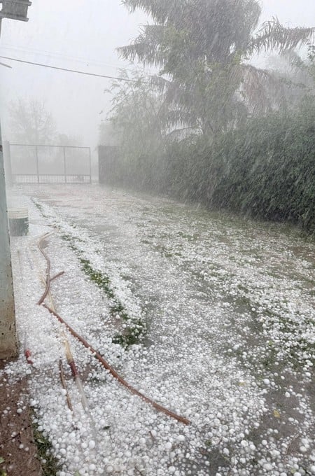 Granizo y viento destruyeron cultivos y provocaron pérdidas de animales.