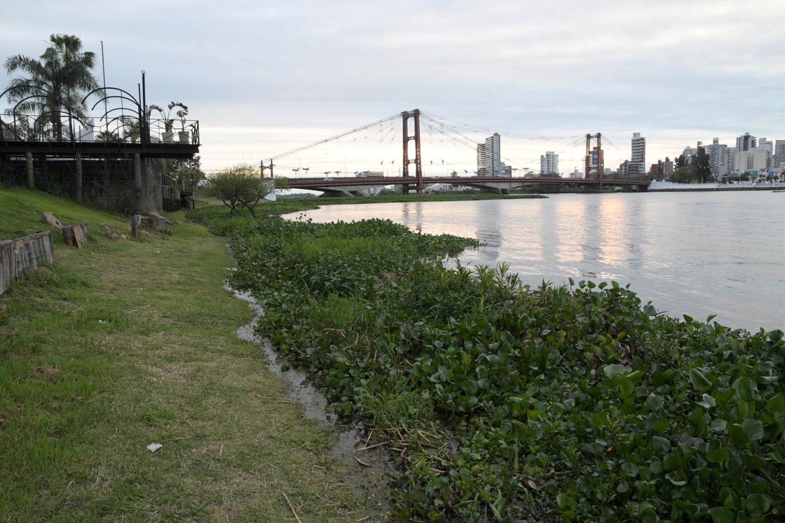 La laguna Setúbal, los camalotes, el Puente Colgante y el atardecer.
