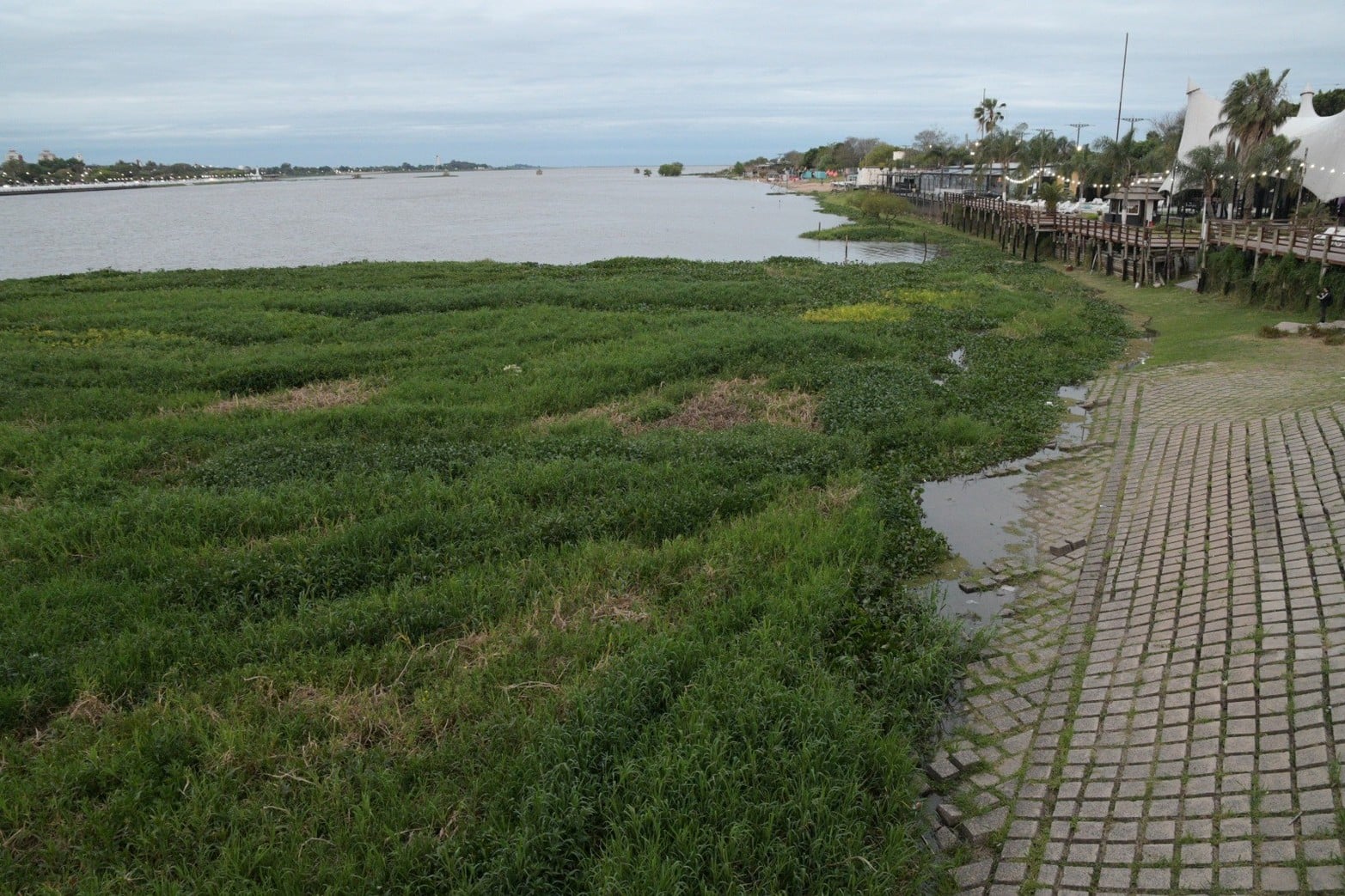 La laguna Setúbal, los camalotes, el Puente Colgante y el atardecer.