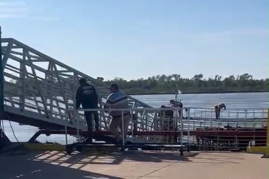 La Provincia agilizó los trámites para facilitar el traslado de ganado.