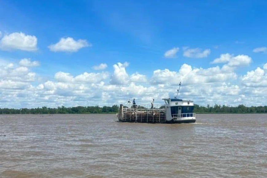 Santa Fe reforzó la logística y las medidas de seguridad ante la crecida del Paraná.