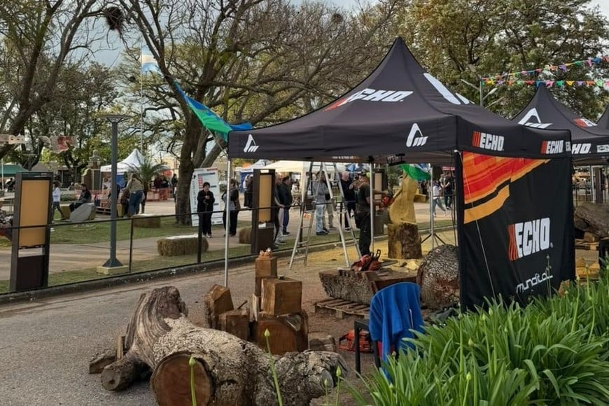 Del trabajo de los escultores a los shows en vivo: la agenda de la Bienal para el fin de semana. Foto: Gentileza Bienal de Escultores