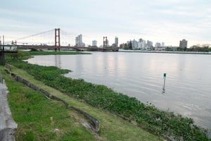 La laguna Setúbal también se muestra con más agua y vegetación. Foto: Manuel Fabatía.