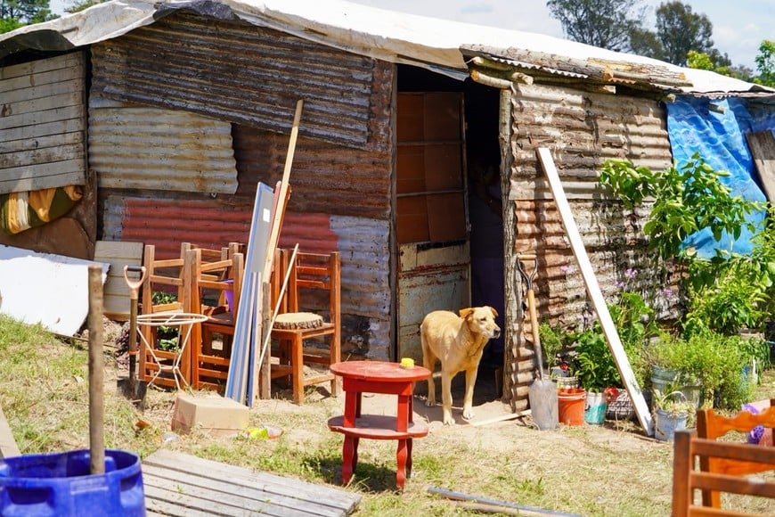 Rancho de chapa levantado del otro lado del terraplén, tras ser corridos por la creciente. Fernando Nicola.