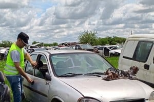 Se inspeccionaron más de 200 vehículos. Foto: Gentileza