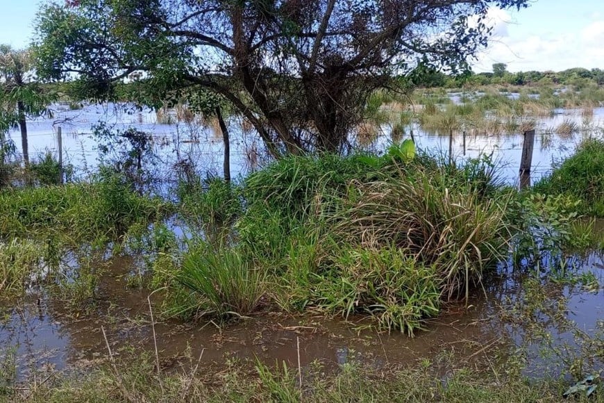 La crecida del Paraná avanza sobre el norte santafesino