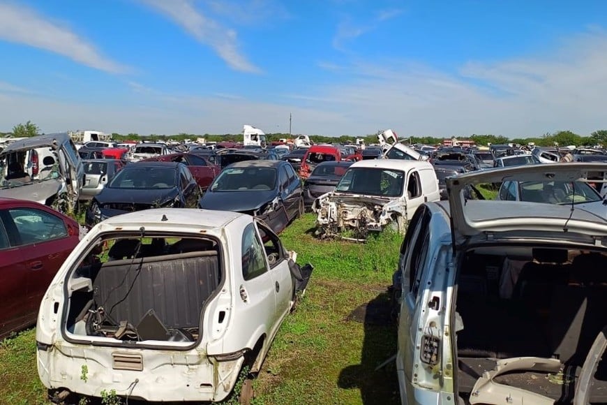 inspección desarmadero en Pujato