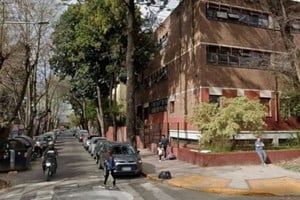 El árbol estaba ubicado frente al Jardín de Infantes N.º 949, sobre la vereda de la calle Conesa.