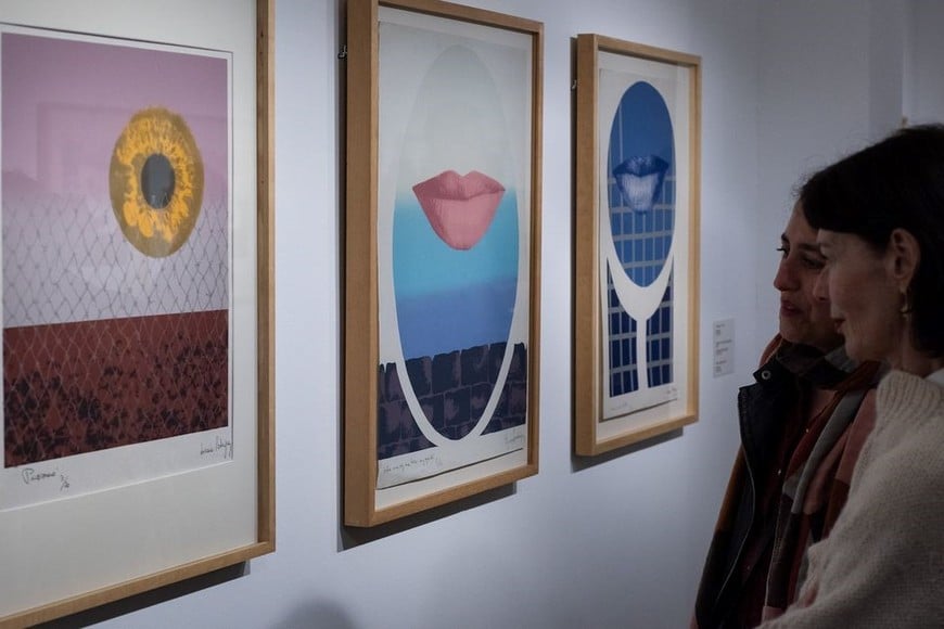 Museo Nacional de Bellas Artes / Matías Iesari