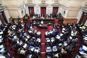 La iniciativa impulsada por el radicalismo busca cubrir el bache entre el RIGI y las pymes, con beneficios fiscales y un piso de doce millones de dólares.