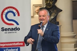 Felipe Michlig este jueves en Senado. Crédito: Flavio Raina