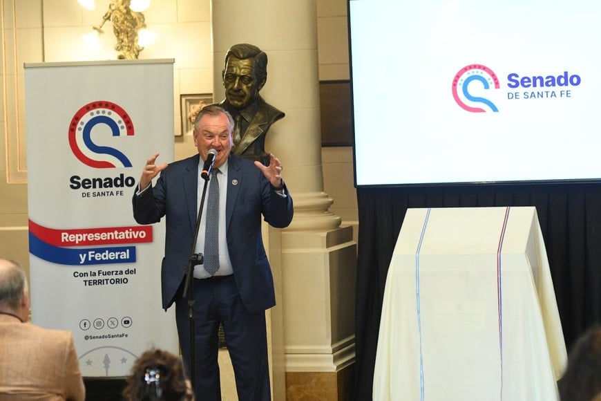 Felipe Michlig este jueves en Senado. Crédito: Flavio Raina
