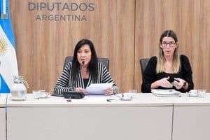 La comisión de legislación penal abordó la imprescriptibilidad de los delitos contra la integridad sexual. Crédito: Diputados