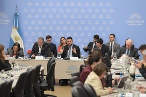 Durante la exposición ante la Comisión de Presupuesto en Diputados, funcionarios del Ministerio de Desregulación remarcaron el sentido económico del achicamiento estatal y el impacto de reducir costos y trámites en la administración pública. Foto: HCDN