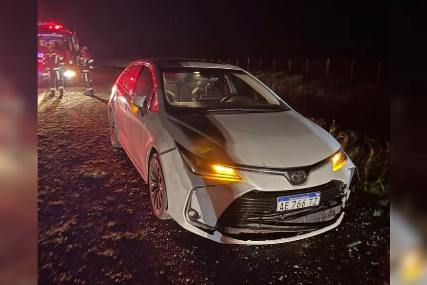Tres vehículos colisionaron con vacunos en el sur santafesino.