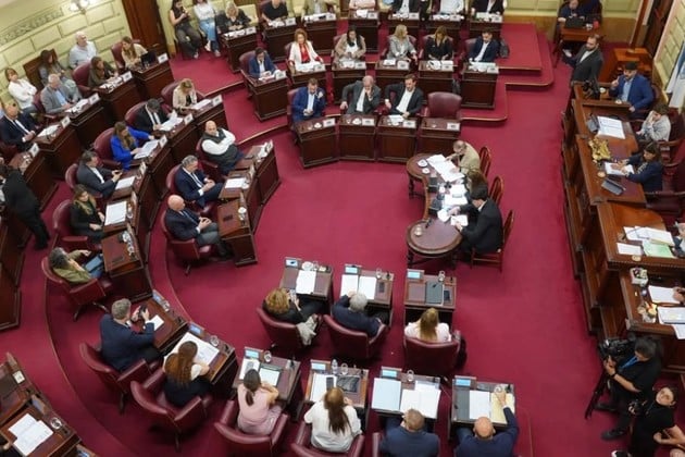 La Cámara de Diputados de Santa Fe este jueves. Crédito: Legislatura
