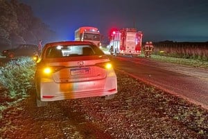 Tres vehículos colisionaron con vacunos en el sur santafesino.