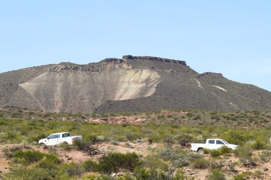 El hallazgo amplía el registro de depredadores prehistóricos de la Patagonia.