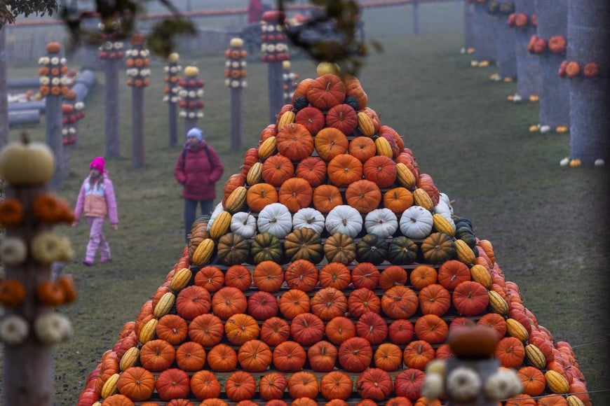 Visitors walk near a pumpkin pyramid during a "Pumpkin World" exhibition ahead of Halloween, at a farm specializing in pumpkin cultivation near Ledec nad Sazavou, Czech Republic, October 30, 2026 REUTERS/Eva Korinkova