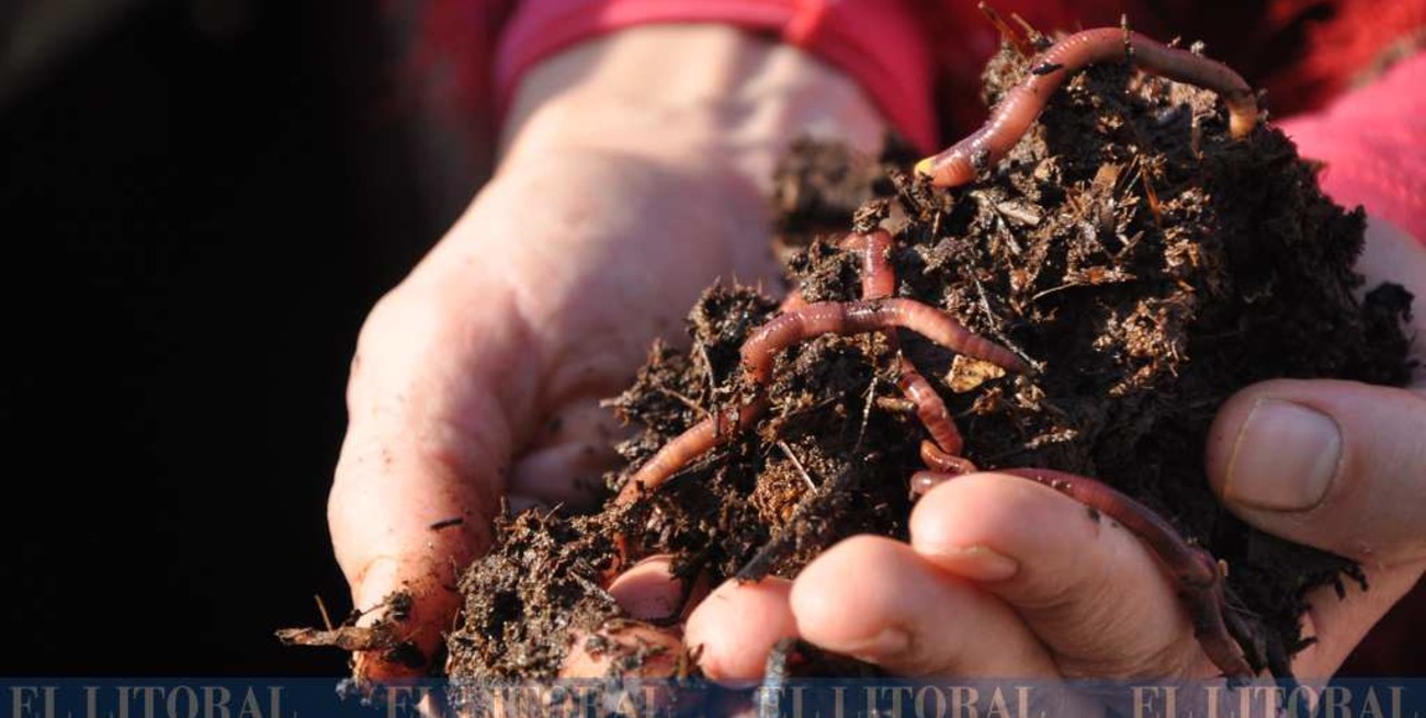 Construyen nuevas plateas para la reubicación del compostaje en Humboldt