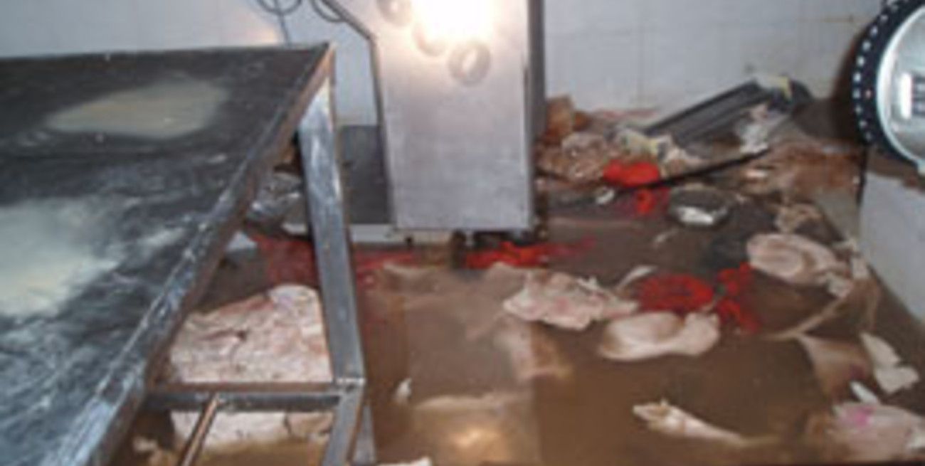 Evalúan cerrar el frigorífico Cordial