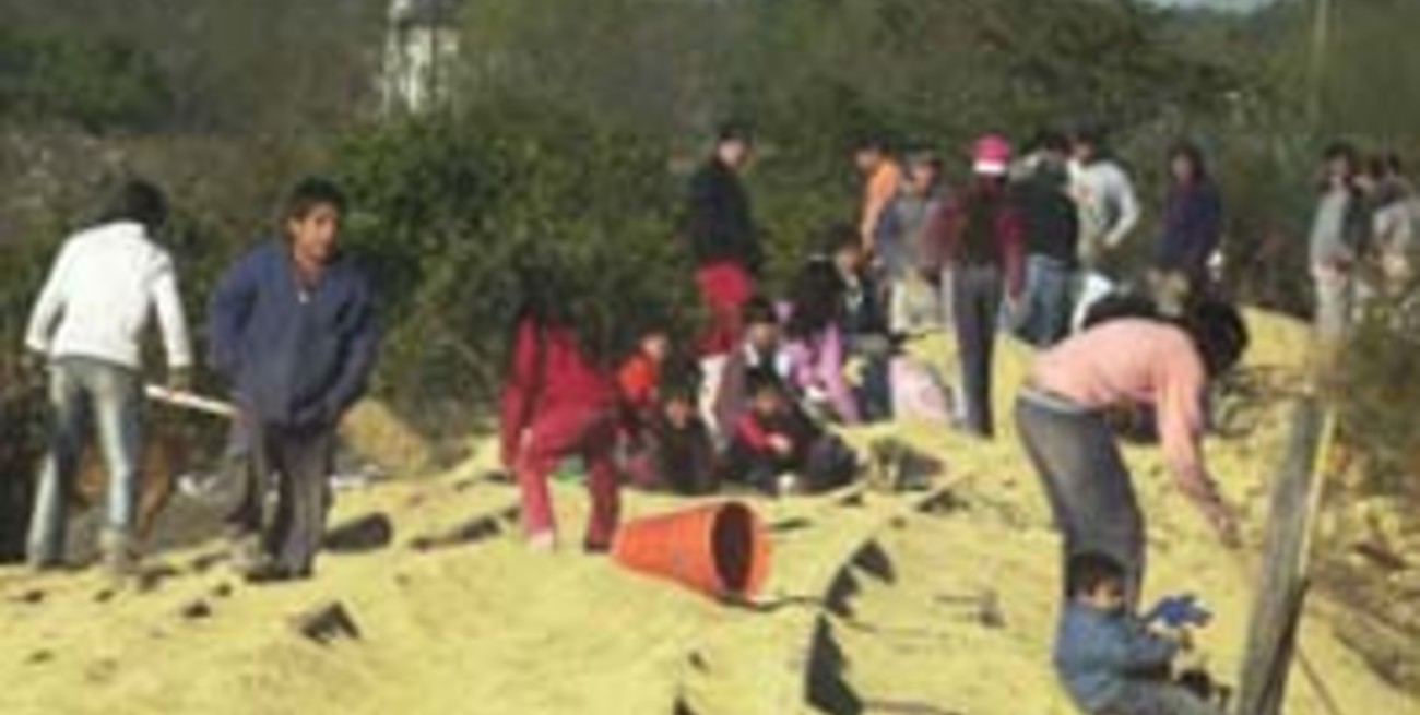 Saquearon un tren cargado con soja 