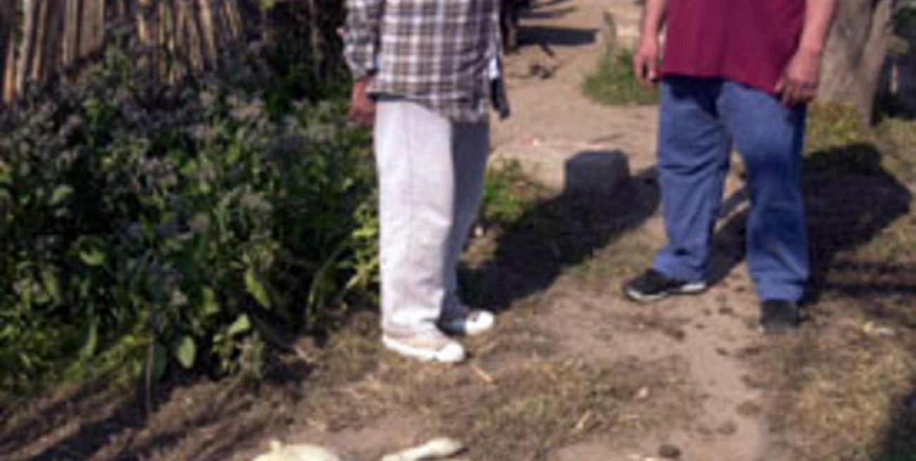 Quién envena perros en la ciudad